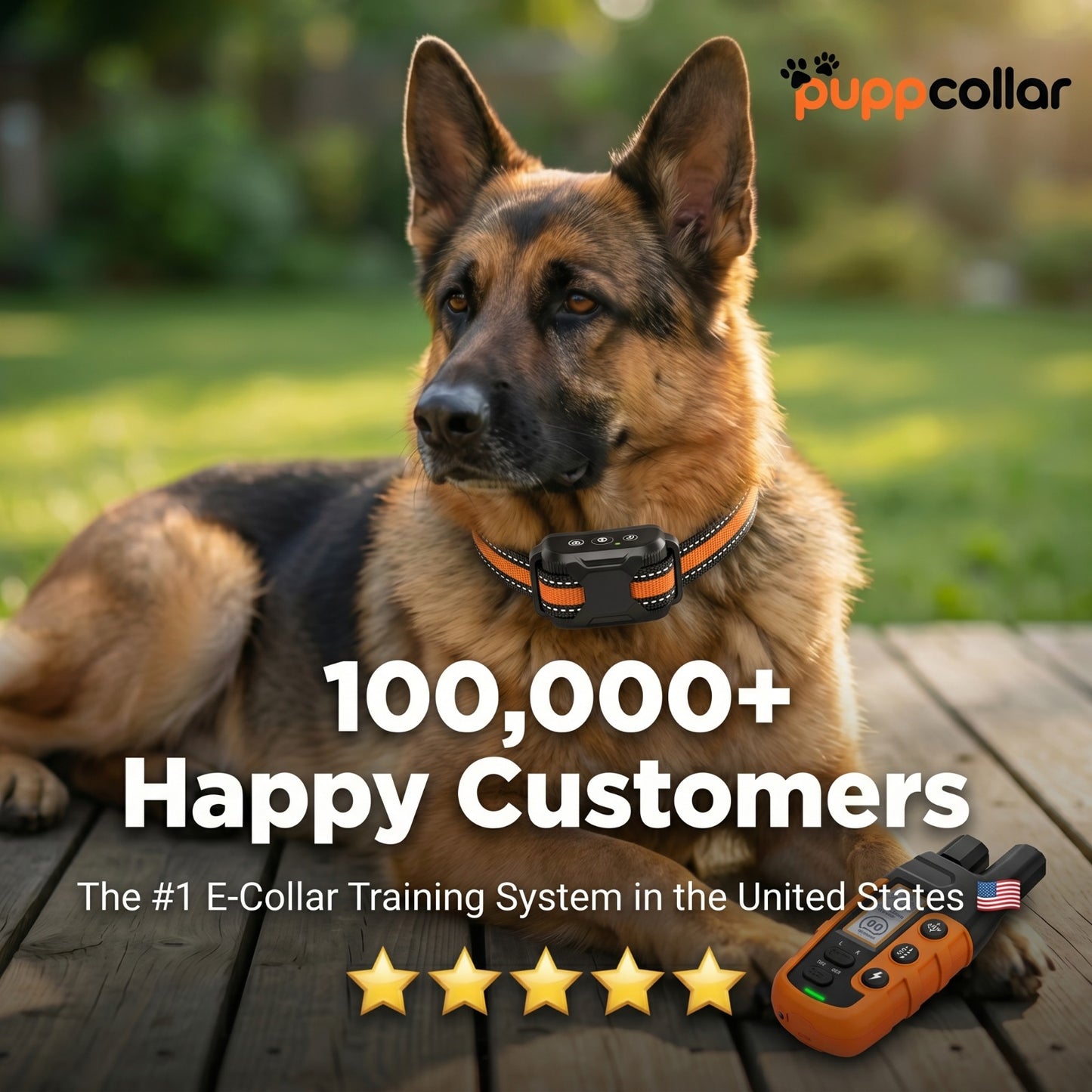 Puppcollar Pro Training System E-Collar